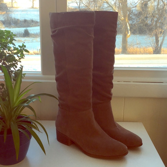 steve madden tall suede boots